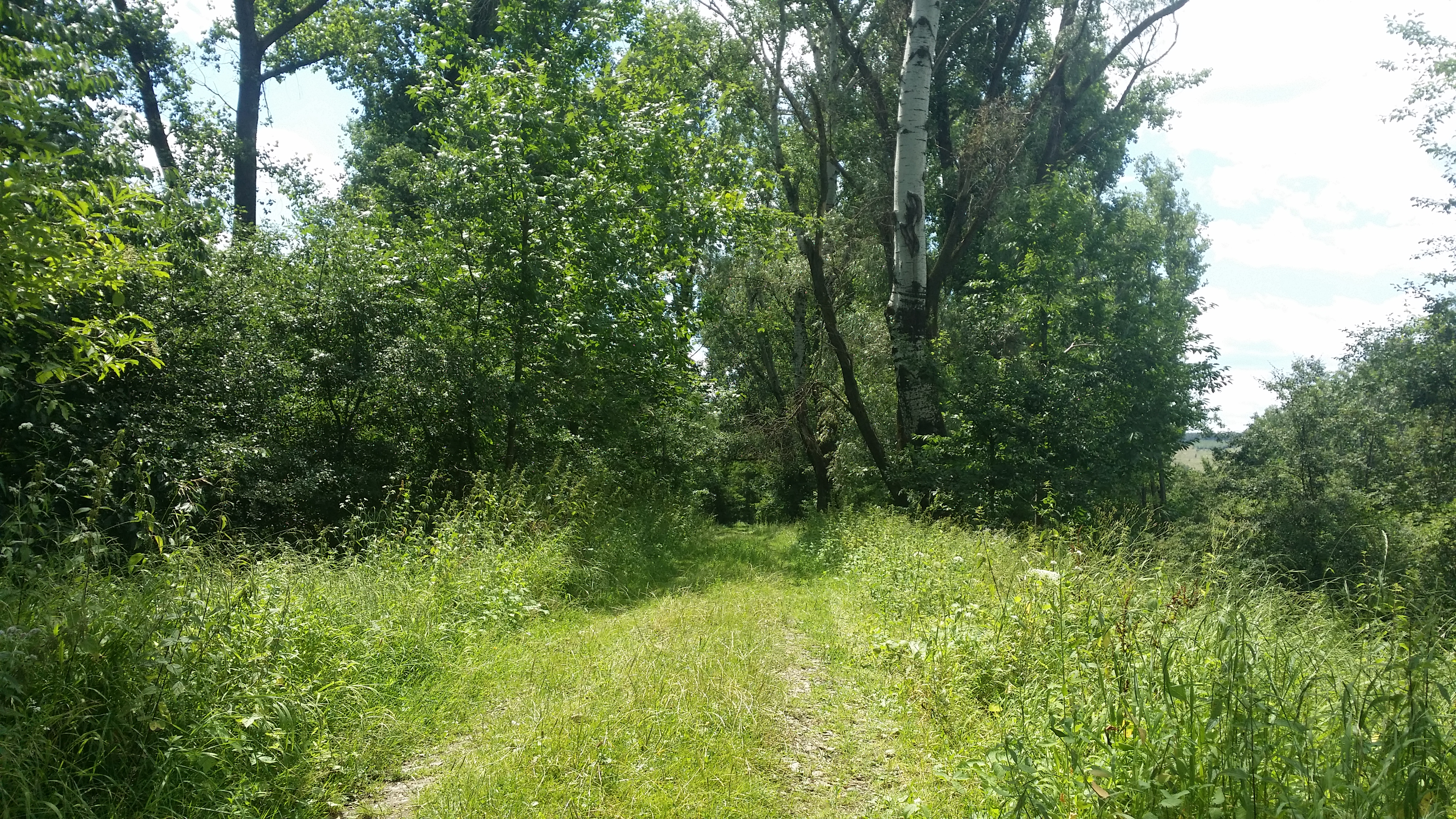 20160722_133655